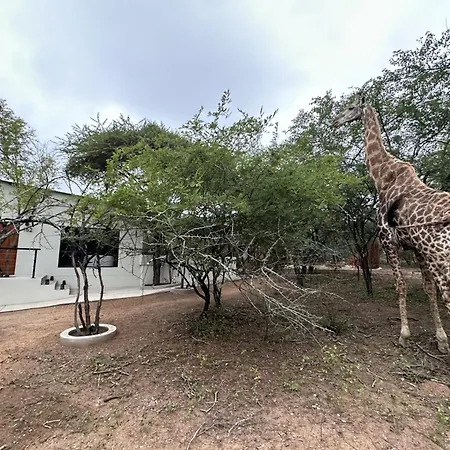 The Suite Luxury Safari Villa, Close To Knp, Starbed, Giraffe-Feeding-Tower, Bush-Bath Marloth Park Exterior foto