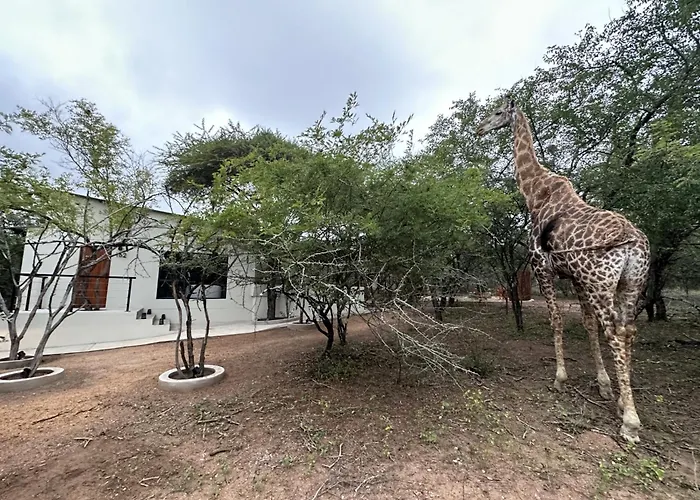 The Suite Luxury Safari Villa, Close To Knp, Starbed, Giraffe-Feeding-Tower, Bush-Bath